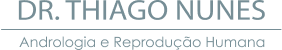 Logo Thiago Nunes